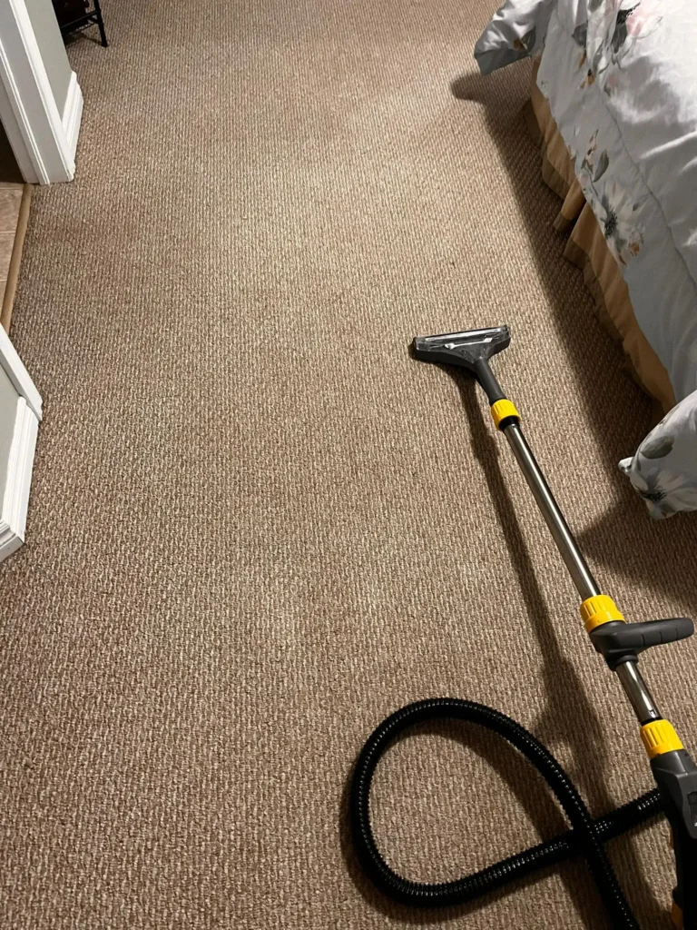 cleaning services in st john's nl